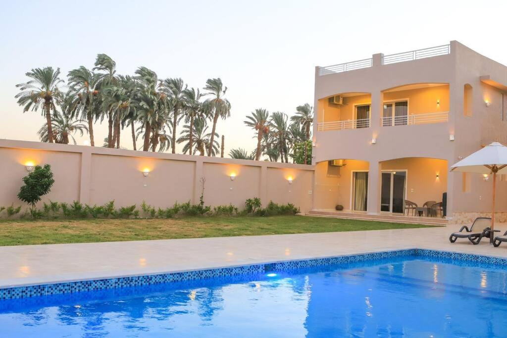 Royal Nile Villa - Nile View Apartment 1 Luxor Exteriör bild